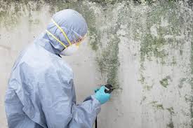 Forensic Mold Investigation in North Madison, OH